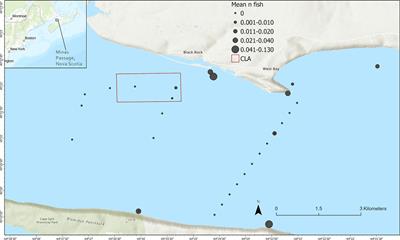 Modeling the Probability of Overlap Between Marine Fish Distributions and Marine Renewable Energy Infrastructure Using Acoustic Telemetry Data